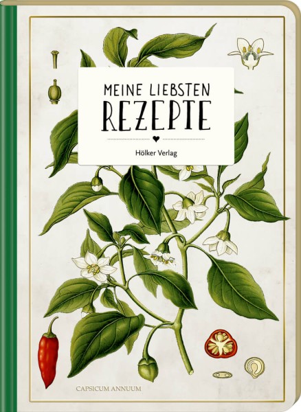 Meine liebsten Rezepte - Wildkräuter (Einschreibbuch/AUGUSTINA)