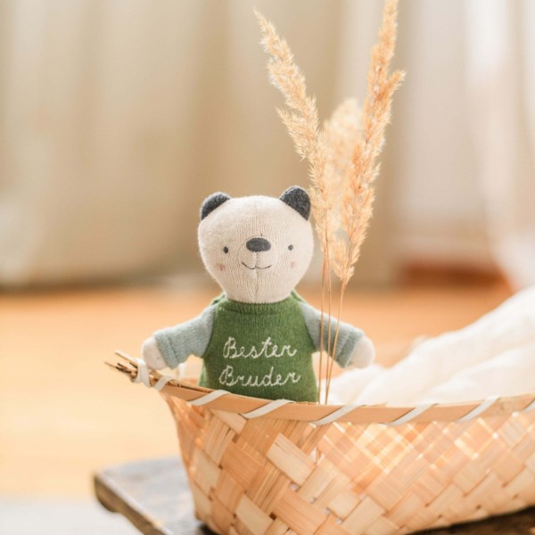 Bär “Bester Bruder” mit Shirt in grün/eisblau