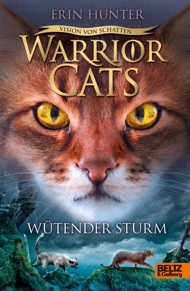 Erin Hunter: Warrior Cats 6/6 Vision von Schatten: Wütender Sturm