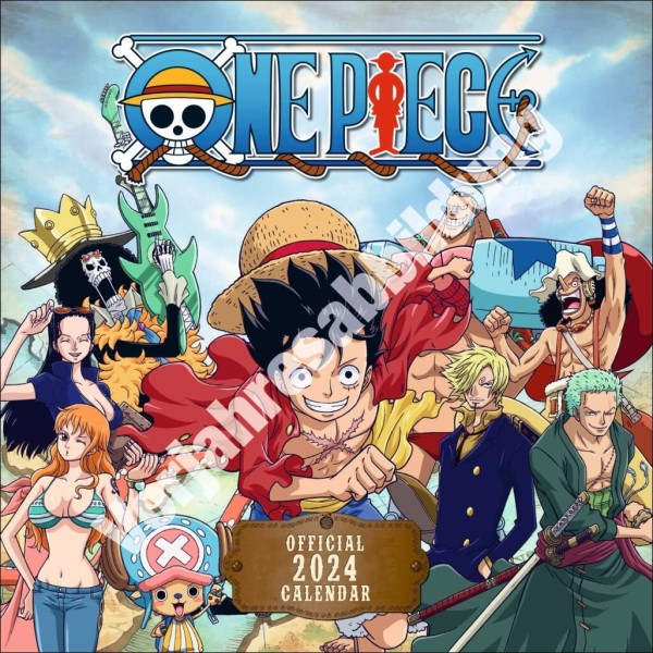 One Piece Broschurkalender 2025