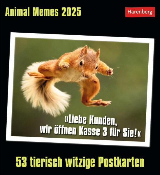 Animal Memes Postkartenkalender 2025