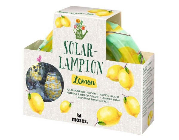 Blatt & Blüte Solar-Lampion Lemon