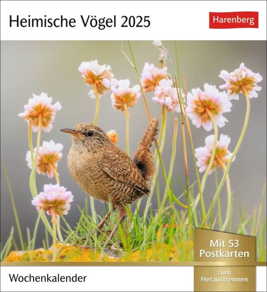 Heimische Vögel Postkartenkalender 2025