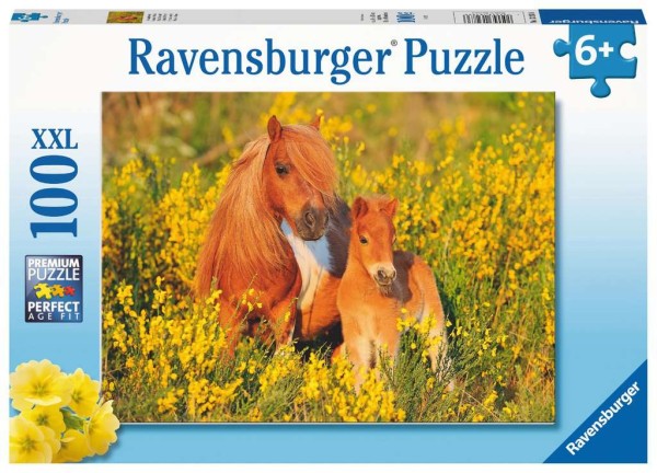 Puzzle Shetlandponys