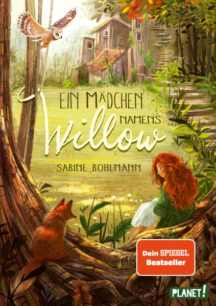 Sabine Bohlmann: Ein Mädchen namens Willow 1